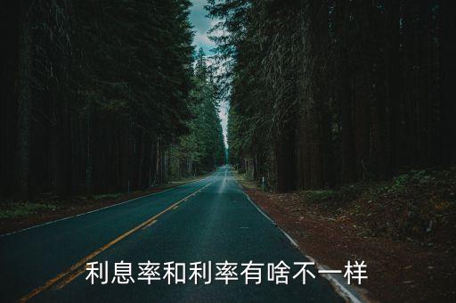 利息利率有什么不同，利息與利率的區(qū)別