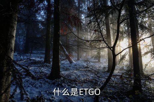 什么是ETGO