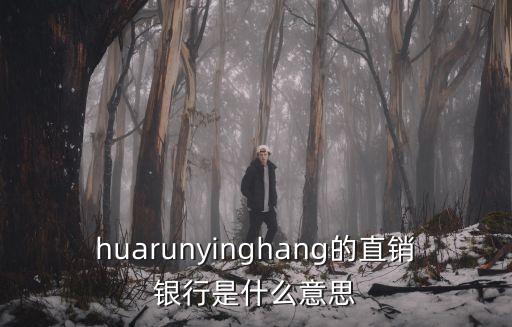 huarunyinghang的直銷銀行是什么意思