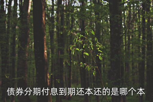 債券到期還的是什么，債券按年付息到期還本是什么意思
