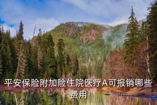 平安保險(xiǎn)附加險(xiǎn)住院醫(yī)療A可報(bào)銷哪些費(fèi)用