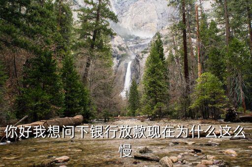 你好我想問下銀行放款現(xiàn)在為什么這么慢