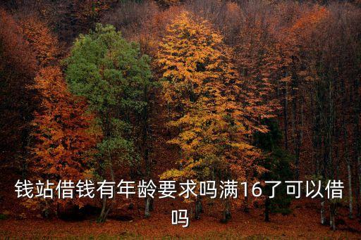 錢(qián)站借錢(qián)有年齡要求嗎滿(mǎn)16了可以借嗎