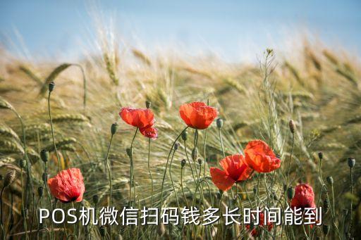 招行pos機(jī)微信付款什么時(shí)候到，pos機(jī)掃描微信二維碼什么時(shí)候到賬