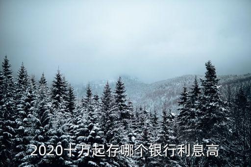十萬存什么銀行利息高，那十萬塊存哪家銀行利息高點兒啊