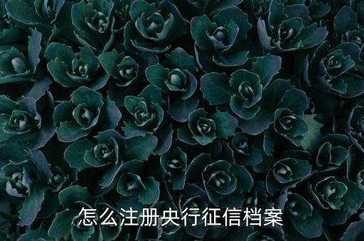 怎么注冊央行征信檔案