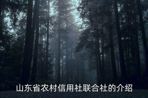 山東省農(nóng)村信用社聯(lián)合社的介紹