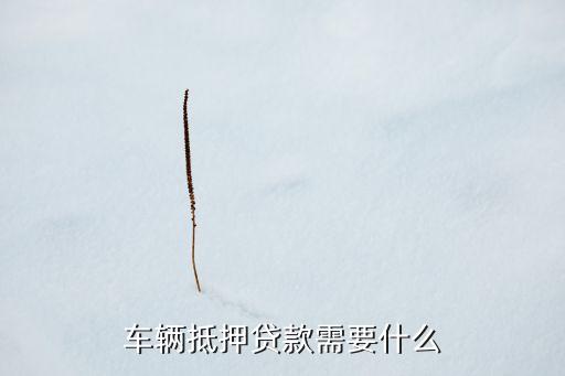 車險(xiǎn)貸需要什么資料，車輛抵押貸款需要什么