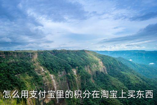 花唄積分怎么買東西，怎么用支付寶里的積分在淘寶上買東西