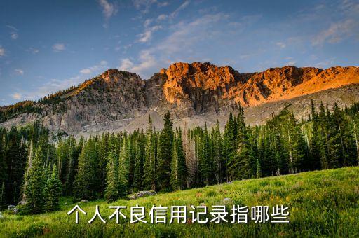 個(gè)人不良信用記錄指哪些