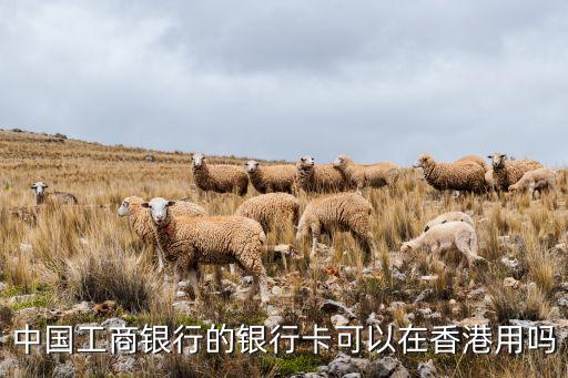 中國工商銀行的銀行卡可以在香港用嗎