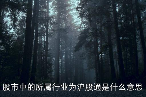 股市中的所屬行業(yè)為滬股通是什么意思