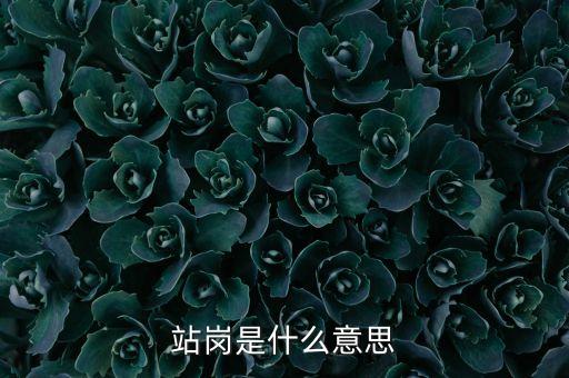 站崗是什么意思