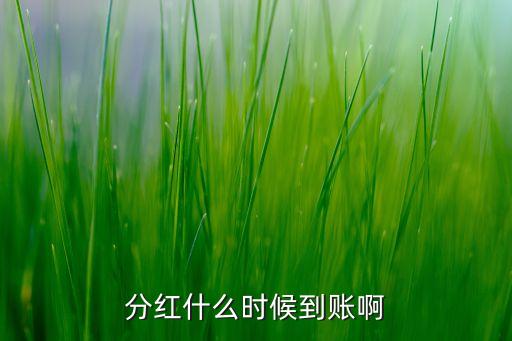 分紅什么時(shí)候到賬啊