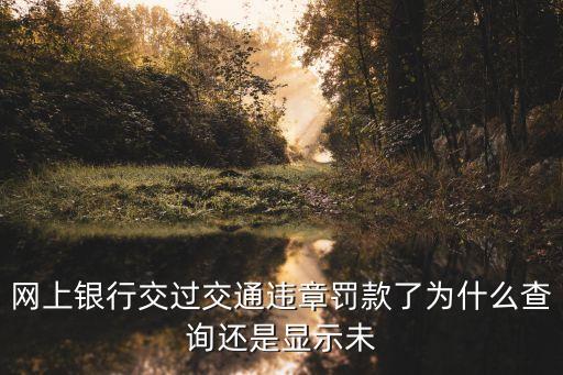 網(wǎng)上銀行交過交通違章罰款了為什么查詢還是顯示未