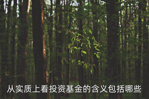 投資基金什么意思，基金什么意思