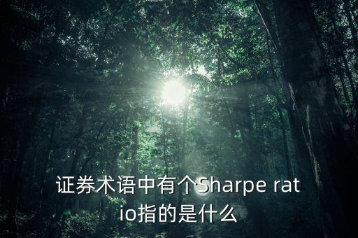 證券術(shù)語(yǔ)中有個(gè)Sharpe ratio指的是什么