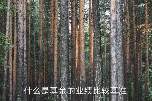 基金的業(yè)績基準是什么，基金的業(yè)績基準是什么意思