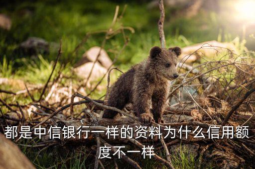 為什么拉卡拉額度不同，為什么兩個卡額度不一樣
