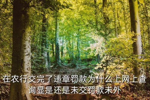 在農(nóng)行交完了違章罰款為什么上網(wǎng)上查詢顯是還是未交罰款未外