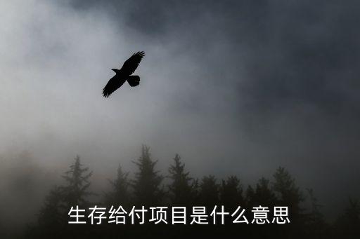 生存給付項目是什么意思