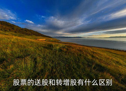 股票的送股和轉增股有什么區(qū)別
