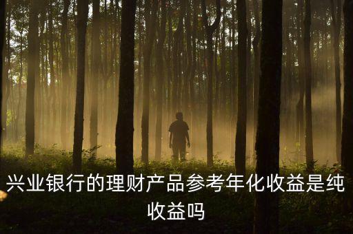 參考年化什么意思，興業(yè)銀行的理財(cái)產(chǎn)品參考年化收益是純收益嗎