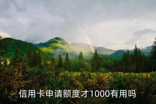 光大額度1000有什么用，我光大銀行信用卡申辦的時候是1000元額度說是使用3個月可以暫