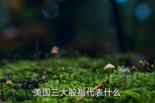 美國三大股指代表什么
