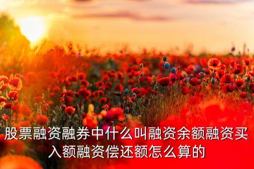 股票融資融券中什么叫融資余額融資買(mǎi)入額融資償還額怎么算的