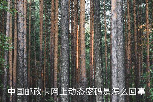 郵政動(dòng)態(tài)密碼是什么意思，中國(guó)郵政卡網(wǎng)上動(dòng)態(tài)密碼是怎么回事