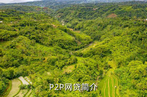 P2P網貸簡介
