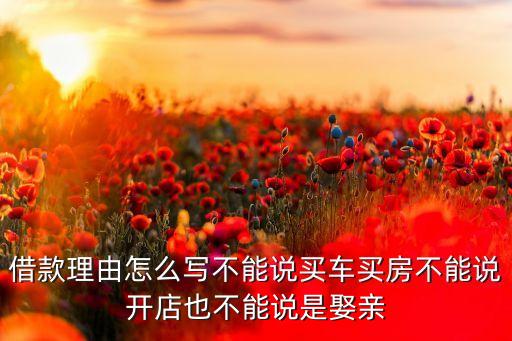 借款理由怎么寫不能說買車買房不能說開店也不能說是娶親
