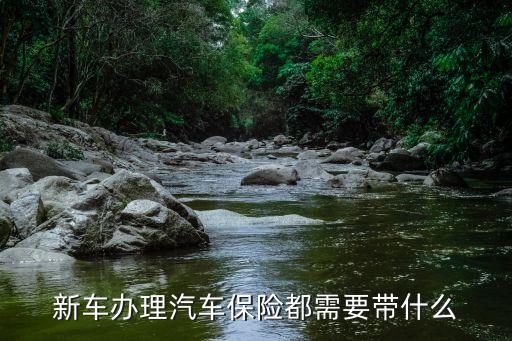 新車辦理汽車保險都需要帶什么