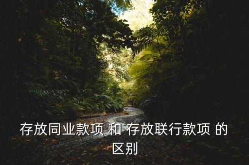 存放同業(yè)款項(xiàng) 和 存放聯(lián)行款項(xiàng) 的區(qū)別