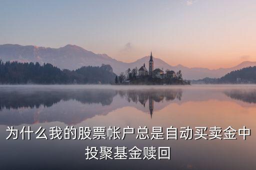 為什么自動(dòng)購(gòu)買了理財(cái)產(chǎn)品，為什么會(huì)無(wú)緣無(wú)故手機(jī)上發(fā)來(lái)說(shuō)買了理財(cái)產(chǎn)品