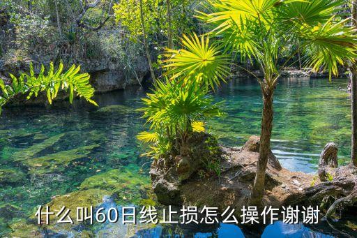 什么叫60日線止損怎么操作謝謝
