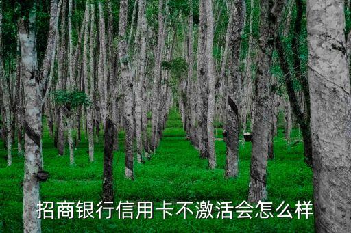 招商銀行信用卡不激活會(huì)怎么樣
