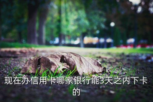 現(xiàn)在辦信用卡哪家銀行能3天之內(nèi)下卡的