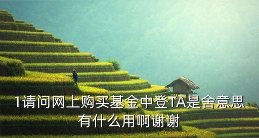 什么是中登ta，上海中登TA賬戶拜托各位大神