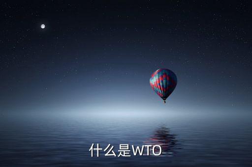 什么是國際組織，國際組織基本特征是什么