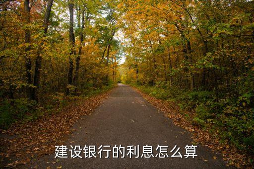 建設(shè)銀行的利息怎么算