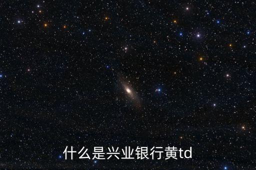 什么是興業(yè)銀行黃td