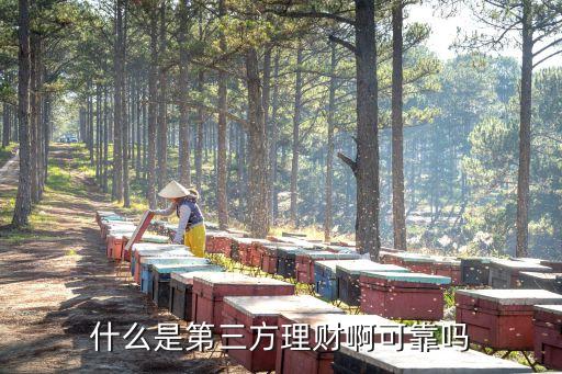 什么是第三方理財(cái)啊可靠嗎