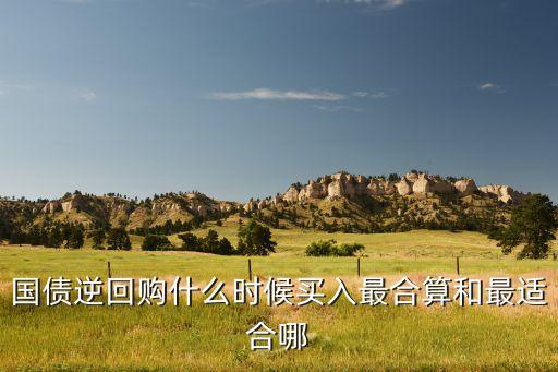 國(guó)債逆回購(gòu)什么時(shí)候買(mǎi)入最合算和最適合哪