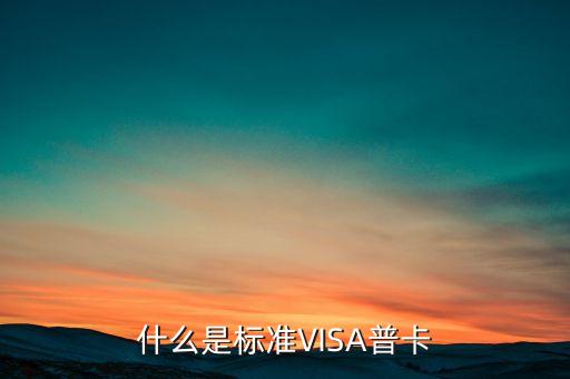 什么是信用卡標準卡，什么是標準VISA普卡