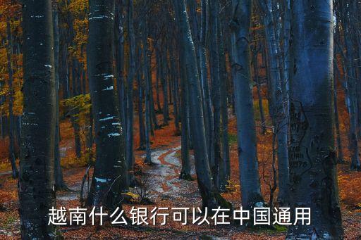 越南什么銀行可以在中國通用