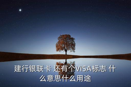 建行銀聯(lián)卡 還有個VISA標志 什么意思什么用途