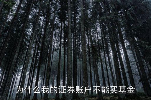 為什么我的證券賬戶不能買基金