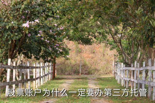股票賬戶為什么一定要辦第三方托管